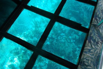 Glass Bottom Boat Key Largo Cruises | Key Largo Princess