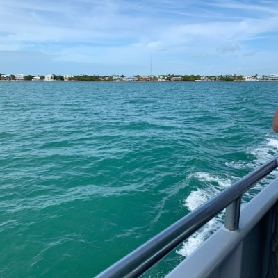 a large body of water